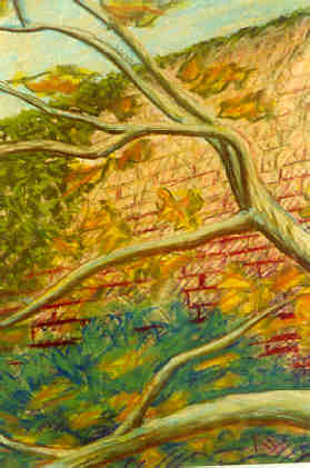 tree and wall
