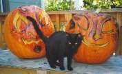 Charlie and the pumpkins
